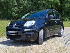 Bild des Angebotes Fiat Panda Panda 1.2