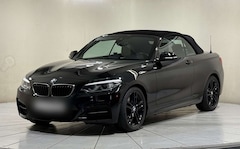 Bild des Angebotes BMW 240 M240i Cabrio Navi Prof RFK HK eSitze DAB PDC