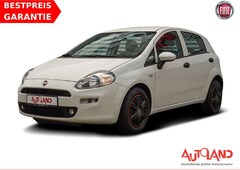 Bild des Angebotes Fiat Punto 1.2 Young Klima Tagfahrlicht