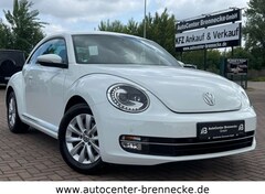 Bild des Angebotes VW Beetle Lim. Design*Bi-Xenon*PDC*Allwetter*