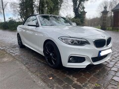 Bild des Angebotes BMW 225 225d Cabrio Sport-Aut. M Sport