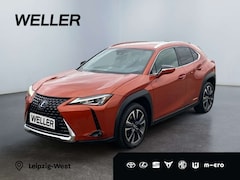 Bild des Angebotes Lexus UX 250h Style Edition *LED*CAM*CarPlay*SHZ*