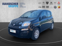 Bild des Angebotes Fiat Panda MY25- Hybrid 1.0 GSE 51kw 70PS PDC