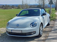 Bild des Angebotes VW Beetle Club