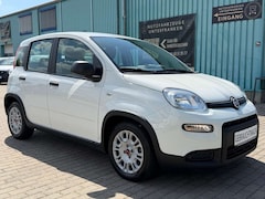 Bild des Angebotes Fiat Panda 1.0 Mild Hybrid/DAB+PDC+KLIMA+BLUETOOTH