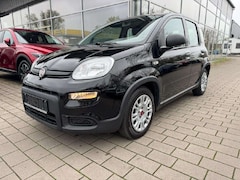 Bild des Angebotes Fiat Panda Base