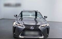 Bild des Angebotes Lexus UX 250h Style Edition *Bi-LED*ACC*CAM*SHZ*CarPlay*