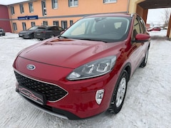 Bild des Angebotes Ford Kuga 2.0 EcoBlue Mild-Hybrid Cool & Connect