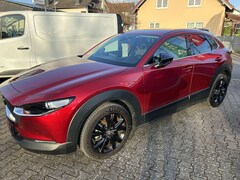 Bild des Angebotes Mazda CX-30 Homura
