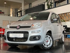 Bild des Angebotes Fiat Panda 1.2 8V Easy CityPaket+ Connect Sitzhzg DAB