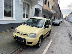 Bild des Angebotes Fiat Panda Panda 1.2 4x4 Climbing