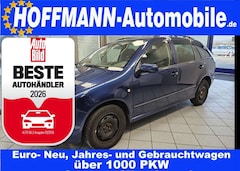 Skoda Fabia ohne Tüv