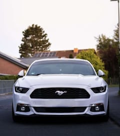 Bild des Angebotes Ford Mustang Mustang 2.3 Eco Boost