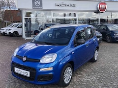 Bild des Angebotes Fiat Panda MY25 1.0 Klima PDC Citypaket