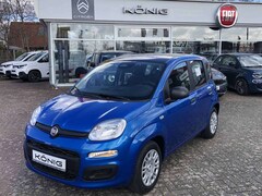 Bild des Angebotes Fiat Panda MY25 1.0 Klima PDC Citypaket