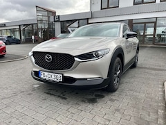 Bild des Angebotes Mazda CX-30 e-SKYACTIV G Homura, Herstellergarantie bis 10/31