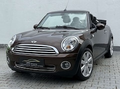 Bild des Angebotes MINI Cooper Cabrio Chili Leder/BiXen/Klimaaut/PDC/SHZ