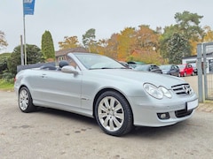 Bild des Angebotes Mercedes-Benz CLK 320 CDI Cabrio Elengance |Leder|Sitzhzg|SHG|