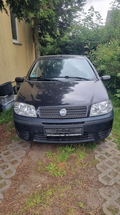 Bild des Angebotes Fiat Punto