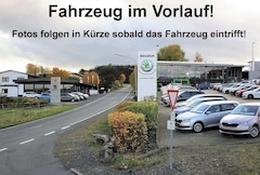 Bild des Angebotes Skoda Octavia Clever
