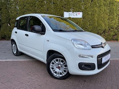 Bild des Angebotes Fiat Panda 1.2L Easy SHZ+KLIMA+MFL+PDC+DAB+CITY-PAKET