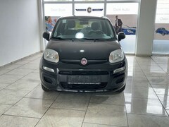 Bild des Angebotes Fiat Panda 1.2 8V Klima eFH Tagfahrlicht ZV ESP ABS Servo TRC