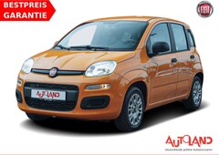 Bild des Angebotes Fiat Panda 1.2i Klima
