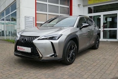 Bild des Angebotes Lexus UX 250h Executive 3 Jahre Garantie