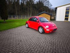 Bild des Angebotes VW New Beetle New Beetle 2.0
