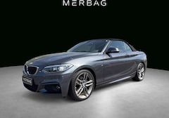 Bild des Angebotes BMW 230 i M-Sport Cabriolet M-Paket Nav. Proff. AHK