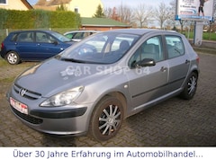 Bild des Angebotes Peugeot 307 Grand Filou 110 -2.HAND-