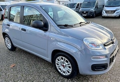 Bild des Angebotes Fiat Panda Base