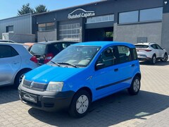 Bild des Angebotes Fiat Panda Panda 1.1 8V Active/Zahnriemen Fisch/Servo/5 Tur