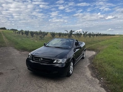 Bild des Angebotes Opel Astra Cabrio Z16XEP | Top Zustand