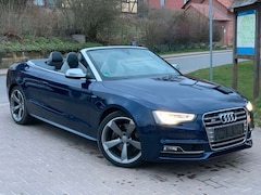 Bild des Angebotes Audi S5 Cabrio 3.0 quattro Exclusive Leder B&O 19