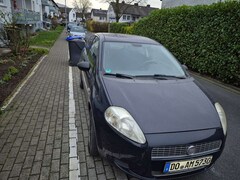 Bild des Angebotes Fiat Punto