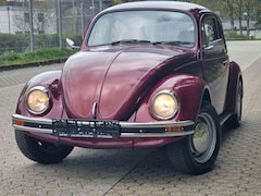 VW Käfer + TÜV/AU neu