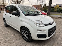 Bild des Angebotes Fiat Panda 1.2 Lounge