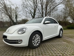 Bild des Angebotes VW Beetle Design