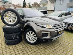 Bild des Angebotes Land Rover Range Rover Evoque Evoque Pure Fahrassistenzen Kamera TOP-Zustand
