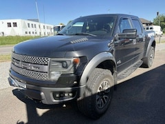 Bild des Angebotes Ford Ranger Raptor F-150 F150 SVT RAPTOR