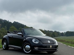 Bild des Angebotes VW Beetle Cabriolet 50´s Design/Bi-Xenon/Leder/TOP/