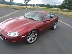 Jaguar XK XK Coupe