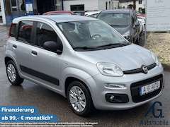 Bild des Angebotes Fiat Panda +Garantie Klima TÜV+Service NEU