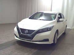 Bild des Angebotes Nissan Leaf Tempomat DAB