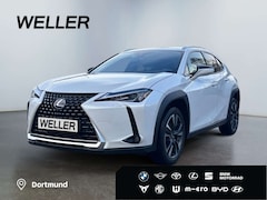Bild des Angebotes Lexus UX 250h Style Edition *Bi-LED*GJR*CAM*SHZ*ACC*PDC*