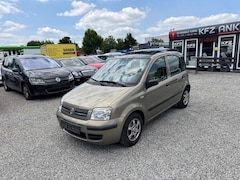 Bild des Angebotes Fiat Panda Panda 1.2 8V Dynamic 1.2 8V Dynamic TÜV NEU!!!