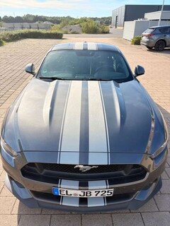 Bild des Angebotes Ford Mustang GT 5.0 Ti-VCT V8 Automatik