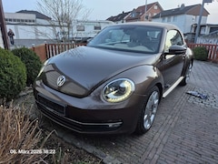 Bild des Angebotes VW Beetle Design