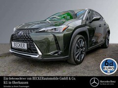 Bild des Angebotes Lexus UX 250h Style EDITION KAMERA NAVI ACC TOTWINKEL